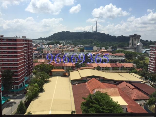 Blk 9 Toh Yi Drive (Bukit Timah), HDB 5 Rooms #123553062
